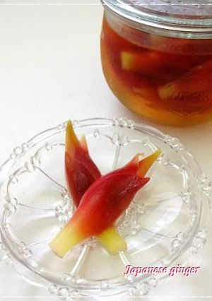 夏のお助け常備菜☆みょうがの甘酢漬け-レシピのメイン写真