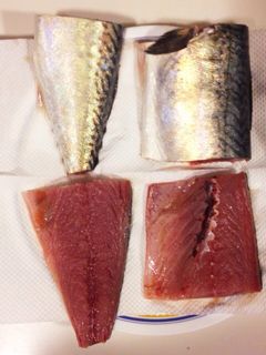 塩サバ-レシピのメイン写真