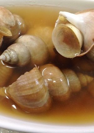 プロ直伝！美味しい！ツブ貝の処理と貝煮-レシピのメイン写真