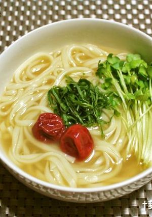 ＊梅しそうどん＊-レシピのメイン写真