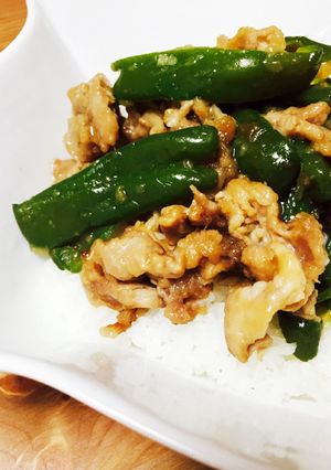 豚肉とピーマンのこってりスタミナ丼-レシピのメイン写真