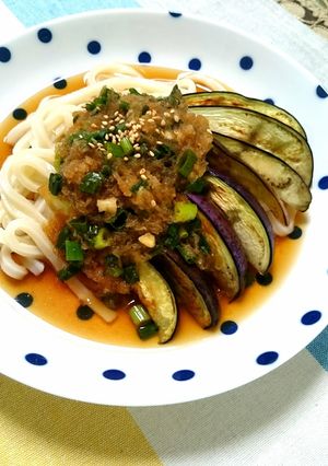 ☆茄子をのっけたおろし温うどん☆-レシピのメイン写真