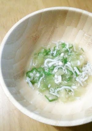 離乳食中～後期＊夏野菜のとろとろ-レシピのメイン写真