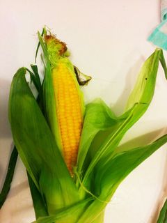 簡単、早い!皮ごとレンジでとうもろこし-レシピのメイン写真