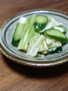 夏野菜の大量消費に!簡単きゅうりの浅漬け-レシピのメイン写真