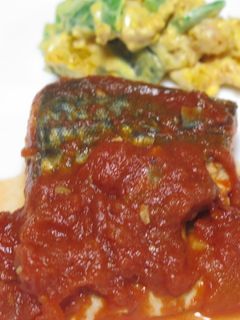 鯖のトマトソース煮込み-レシピのメイン写真