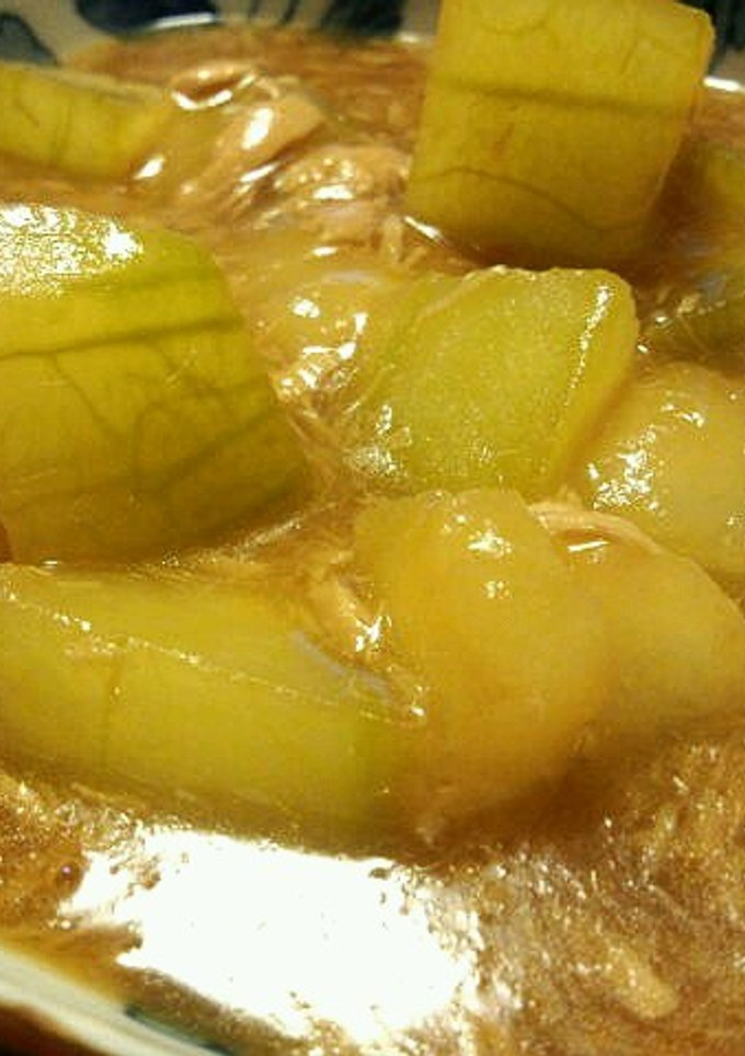 簡単冬瓜の煮物-レシピのメイン写真