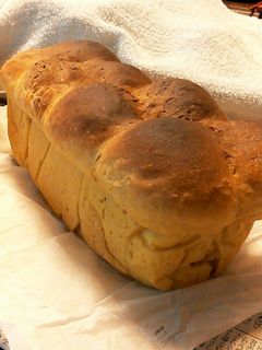 カボチャの煮物deパン-レシピのメイン写真