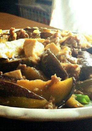 簡単！食欲をそそる麻婆茄子＆豆腐-レシピのメイン写真