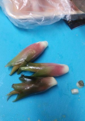 ミョウガの酢漬け-レシピのメイン写真
