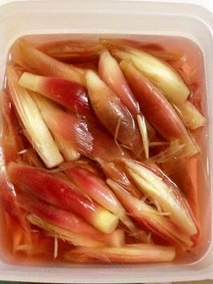 みょうがの甘酢漬け-レシピのメイン写真