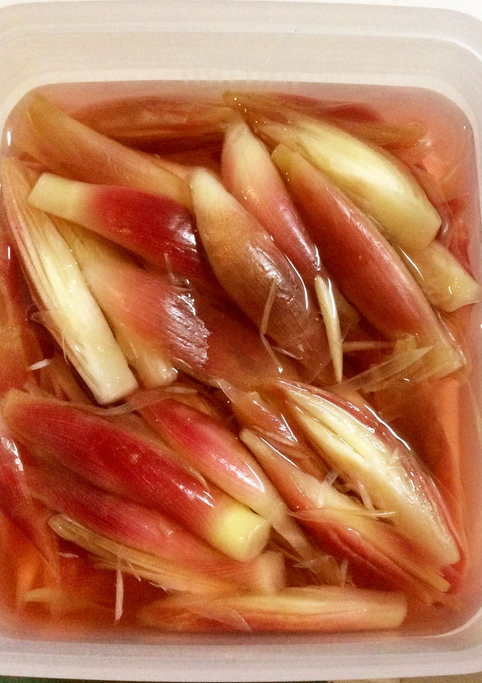 みょうがの甘酢漬け-レシピのメイン写真
