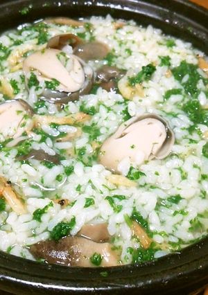 【たまには】パセリのお粥【主役に！】-レシピのメイン写真