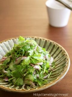 デトックス!パクチーサラダ-レシピのメイン写真
