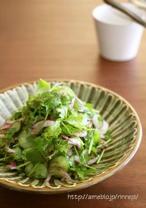 デトックス!パクチーサラダ-レシピのメイン写真