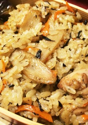 鶏ごほうひじき御飯-レシピのメイン写真