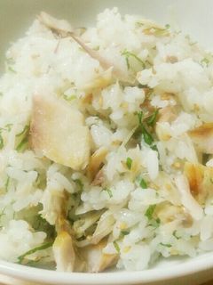 おかわり~♪アジの薬味混ぜご飯♪-レシピのメイン写真