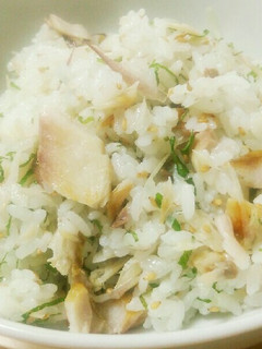 おかわり~♪アジの薬味混ぜご飯♪-レシピのメイン写真