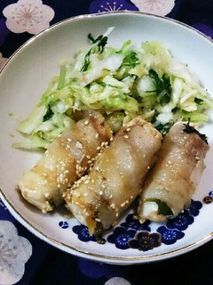 体温UPのサッパリ2種の豆腐肉巻き-レシピのメイン写真