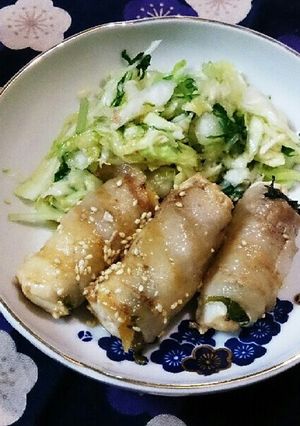体温UPのサッパリ2種の豆腐肉巻き-レシピのメイン写真
