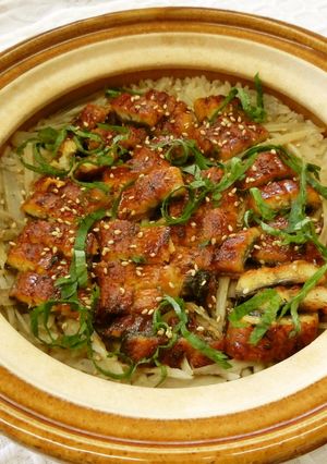 うなぎの蒲焼きとごぼうの炊き込みごはん-レシピのメイン写真