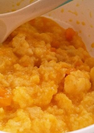 ８ヶ月のかぼちゃクリームパン粥-レシピのメイン写真