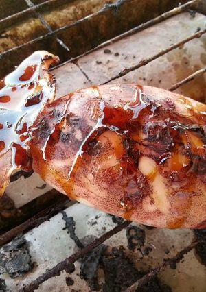 いか焼き-レシピのメイン写真
