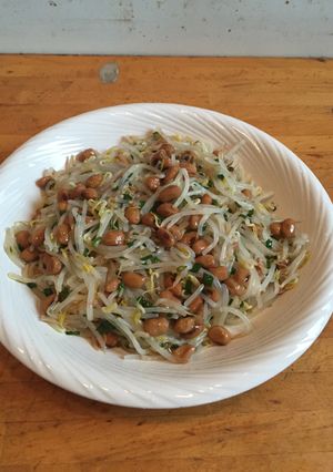 モヤシの納豆和え-レシピのメイン写真