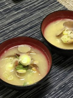 あさりのお味噌汁-レシピのメイン写真