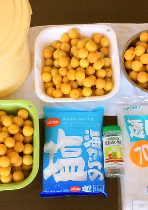 減塩 小梅の梅干し 七折小梅③天日干し編-レシピのメイン写真