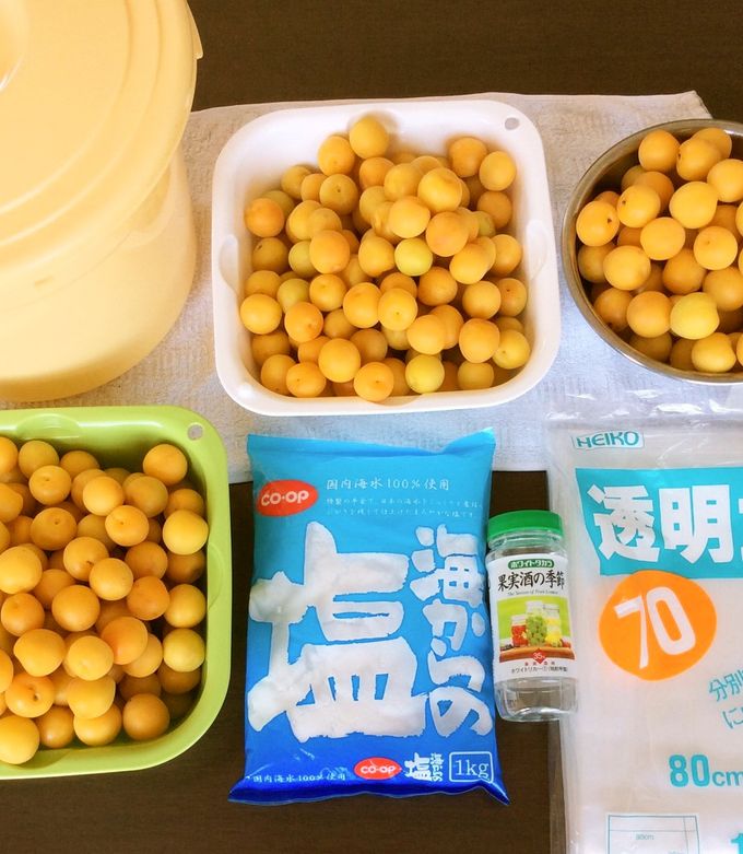 減塩 小梅の梅干し 七折小梅③天日干し編-レシピのメイン写真