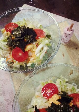 塩もみキャベツたっぷり☆さっぱり冷やし麺-レシピのメイン写真