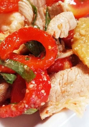焼きパプリカと焼き茄子と豚肉のマリネ♪-レシピのメイン写真