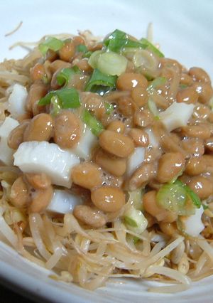 あと一品欲しい時に！もやしの納豆のせ-レシピのメイン写真