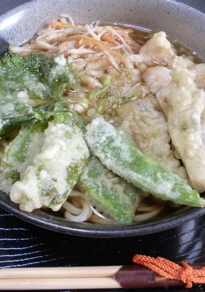 農家ならではの　野菜天ぷらうどん-レシピのメイン写真