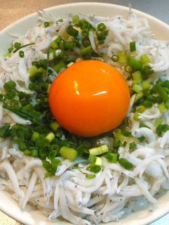 絶品*釜揚げしらすご飯-レシピのメイン写真