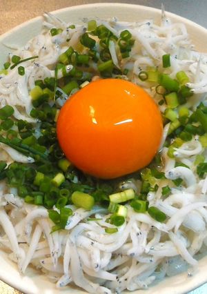 絶品＊釜揚げしらすご飯-レシピのメイン写真