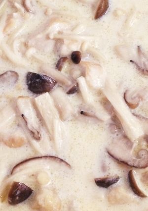 きのこのクリーム煮-レシピのメイン写真