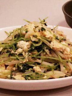 豆苗・もやしの卵炒め♫-レシピのメイン写真