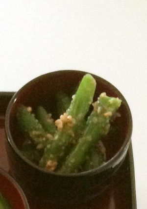 坪椀～いんげんの胡麻和え-レシピのメイン写真