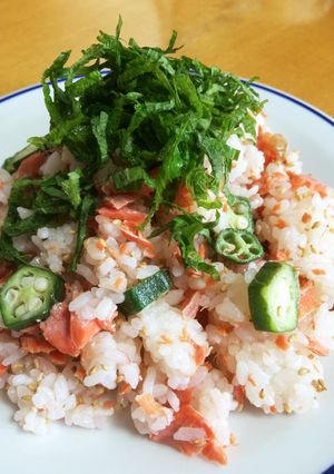お弁当ランチ簡単☆鮭 オクラ 梅干しご飯-レシピのメイン写真