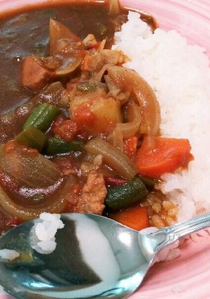 夏野菜嫌いに贈る具だくさんカレー-レシピのメイン写真