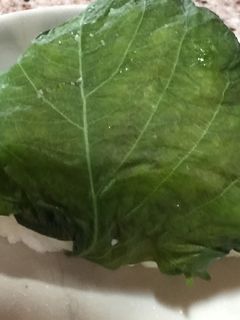 青しその塩漬け-レシピのメイン写真