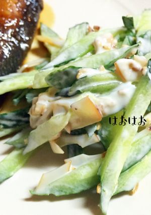 卵乳小麦不使用。胡瓜のイカくんサラダ-レシピのメイン写真