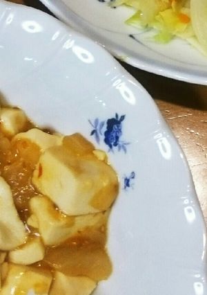 毎日タマネギ①　麻婆豆腐-レシピのメイン写真