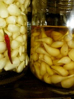 らっきょ漬け-レシピのメイン写真