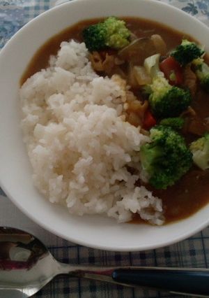 速攻！！母が喜ぶ夏カレー-レシピのメイン写真