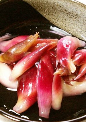 茗荷の白梅酢漬け-レシピのメイン写真
