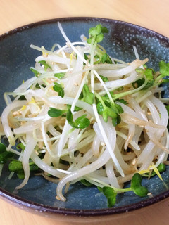 もやしのさっぱりナムル-レシピのメイン写真