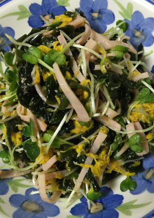 食用菊のさっぱり酢の物☆-レシピのメイン写真
